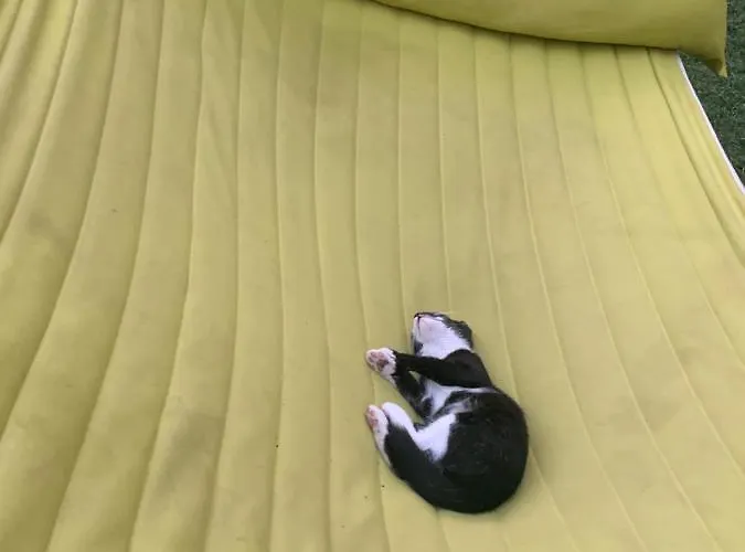 Luxury Orchid With A Garden In A Private Complex Cascadas Bulgaria Апарт-отель